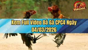 Xem Full Video Đá Gà CPC4 Ngày 04/03/2026