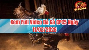 Xem Full Video Đá Gà CPC5 Ngày 11/03/2026