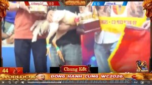 Anh Khoa Bến Lức Giành Cúp Vô Địch Tại Bồ CPC3 27/04/2026