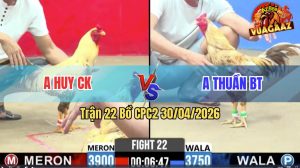 Trận 22 CPC2 30/04/2026 - Gà Anh Thuần BT Cứ Nhấc Chân Là Dính Cựa
