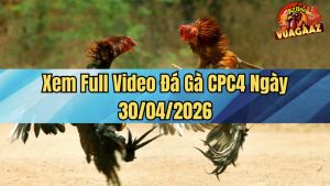 Xem Full Video Đá Gà CPC4 Ngày 30/04/2026