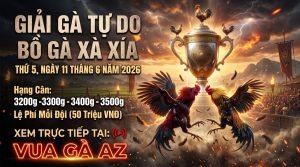 Giải Gà Tự Do Xà Xía 11/6/2026 - Xem Full tại Vua Gà AZ