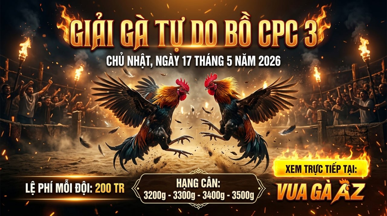 Thông Báo Giải Gà Tự Do Tại Bồ CPC3 Ngày 15/05/2026 Thông Báo Giải Gà Tự Do Tại Bồ CPC3 Ngày 15/05/2026