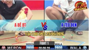 Trận 1 CPC2 23/05/2026 - Anh Bé Bến Tre Mở Bát Đã Có Pha Lật Kèo