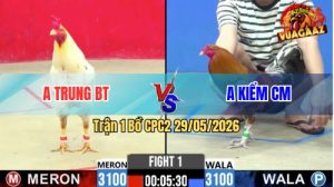 Trận 1 CPC2 29/05/2026 - Anh Kiểm CM Ra Quân Gặp Đối Thủ Cứng Cựa