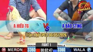 Trận 1 CPC2 30/05/2026 - Gà Cúp Hiệu Idol Bảo Sting Ra Trận Có Khác