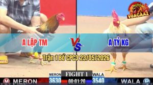 Trận 1 CPC3 23/05/2026 - Gà Điều Anh Lập TM Đá Toàn Đâm Mu Lưng