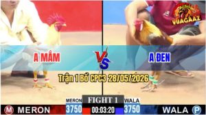 Trận 1 CPC3 28/05/2026 - Gà Anh Mắm Ra Quân Quá Thuận Lợi