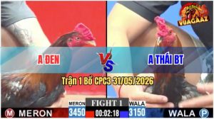 Trận 1 CPC3 31/05/2026 - Anh Đen Mở Bát Lụm Liền Kèo Thơm