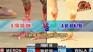 Trận 10 Bồ CPC2 16/5/2026 - Điều Anh Bé Đâm Như Chĩa Đá Bướm Anh Tài Té Hết Cứu