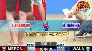 Trận 10 CPC2 25/05/2026 - Gà Anh Tuân TĐ Giao Nạp Quá Hay