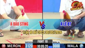 Trận 10 CPC2 30/05/2026 - Gà Khét Anh Lé Đá Cái Bo Như Xe Đụng
