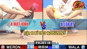 Trận 10 CPC3 16/05/2026 - Anh Lúa Bị Dí Bạc Ăn 6 Nhưng Vẫn Lụm