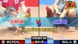 Trận 10 CPC3 18/05/2026 - Gà Cú Anh Huy Hậu Giang Đá Quá Đâm