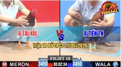 Trận 10 CPC3 21/05/2026 - Anh Tiền TN Hạ Đỏ Nằm Gục Tại Chỗ