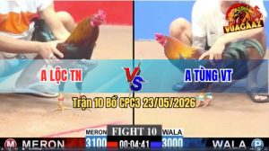 Trận 10 CPC3 23/05/2026 - Gà Điều Anh Tùng VT Đâm Toàn Cựa Nghiệt