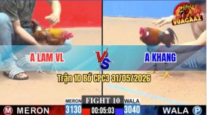 Trận 10 CPC3 31/05/2026 - Anh Lam Làm Thịt Anh Khang Nhanh Gọn
