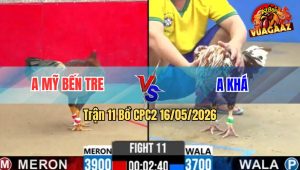Trận 11 Bồ CPC2 16/5/2026 - Xanh Chấp Ẩu Và Cái Kết Vào Sân Đỏ Đá Cho Má Nhìn Không Ra