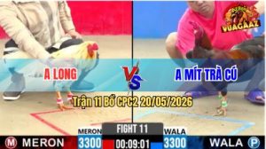Trận 11 CPC2 20/05/2026 - Anh Mít Trà Cú Phản Kèo Hạ Anh Long