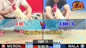 Trận 11 CPC2 23/05/2026 - Gà Của Bồ Đá Không Cho Anh Bồn Cơ Hội Nào