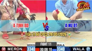Trận 11 CPC2 28/05/2026 - Anh Tịnh Hạ Anh Nu Đồng Tháp Lật Tại Chỗ