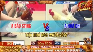 Trận 11 CPC2 29/05/2026 - Gà Idol Bảo Sting Tiếp Tục Thắng Ở Kèo Lạ