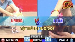 Trận 11 CPC3 18/05/2026 - Anh Phước Làm Thịt Anh Tuấn Nhanh Gọn