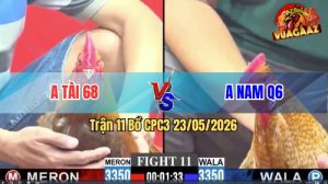 Trận 11 CPC3 23/05/2026 - Anh Nam Q6 Không Cho Đối Thủ Cơ Hội Nào