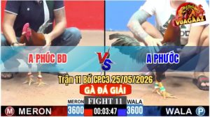 Trận 11 CPC3 25/05/2026 - Anh Phước Hạ Anh Phúc BD Giành 3 Điểm
