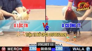 Trận 11 CPC3 31/05/2026 - Nài Gà Xanh Cố Kéo Cầm Hoà Quá Hay