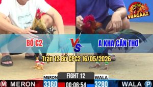 Trận 12 Bồ CPC2 16/5/2026 - Điều Anh Kha Canh Chặn Tốt Đúng Thời Điểm Ra Chân Tiễn Đỏ Lên Đường