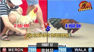 Trận 12 CPC2 19/05/2026 - Gà Bướm Anh Hai HM Đá Cựa Đâm Như Chĩa