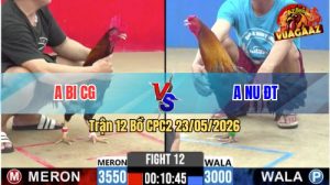 Trận 12 CPC2 23/05/2026 - Anh Nu Đồng Tháp Chấp 3 Chấm Vẫn Lụm