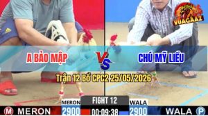 Trận 12 CPC2 25/05/2026 - Gà Úa Chú Mỹ Liều Đá Chưa Tới 2 Tay Nước