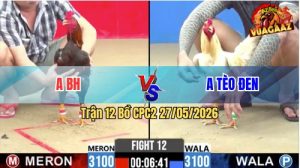 Trận 12 CPC2 27/05/2026 - Gà Điều Của Bồ Gà Đá Khôn Như Người