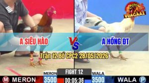 Trận 12 CPC2 28/05/2026 - Gà Điều Anh Siêu Hào Đá Quá Tốc Độ