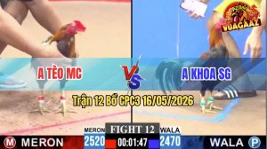 Trận 12 CPC3 16/05/2026 - Gà Điều Anh Khoa Đá Cái Bo Quá Khủng