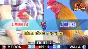 Trận 12 CPC3 18/05/2026 - Gà Úa Anh Hiếu BD Đá Cái Bo Như Xe Đụng