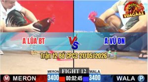 Trận 12 CPC3 21/05/2026 - Gà Anh Lúa Bến Tre Nạp Siết Đúng 1 Hơi
