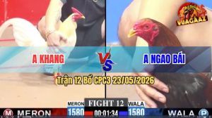 Trận 12 CPC3 23/05/2026 - Anh Khang Phản Kèo Ăn 1 Đẳng Cấp