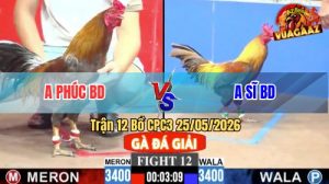 Trận 12 CPC3 25/05/2026 - Gà Khét Anh Sĩ Có Chân Cựa Chí Mạng