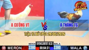 Trận 12 CPC3 28/05/2026 - Gà Úa Anh Cường Canh Chặn Quá Hay