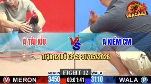 Trận 12 CPC3 31/05/2026 - Gà Điều Anh Kiểm Đá Cựa Đâm Như Giang Hồ