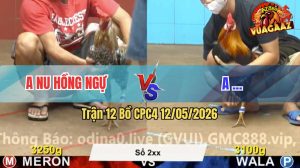 Trận 12 CPC4 12/05/2026 - Idol Nu Hồng Ngự Gặp Đối Thủ Cứng Cựa