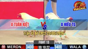 Trận 13 CPC2 23/05/2026 - Gà Anh Hiếu Tiền Giang Đá Trong 2 Nốt Nhạc