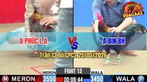 Trận 13 CPC2 25/05/2026 - Gà Điều Anh Bin Đá Đúng 1 Tay Nước