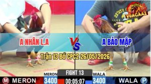 Trận 13 CPC2 26/05/2026 - Gà Anh Nhân Long An Siết 1 Hơi Lụm Tiền