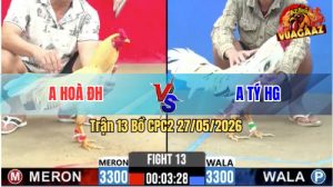 Trận 13 CPC2 27/05/2026 - Gà Bướm Anh Tý Đá Cái Bo Như Búa Bổ