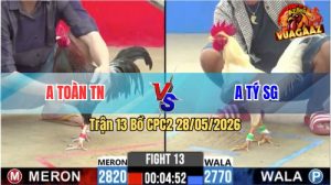 Trận 13 CPC2 28/05/2026 - Gà Cọp Anh Toàn Đá Toàn Cựa Hiểm