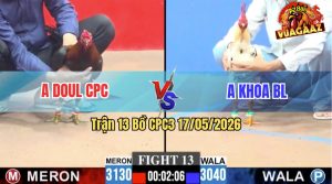 Trận 13 CPC3 17/05/2026 - Gà Anh Khoa BL Có Pha Lật Kèo Ngoạn Mục